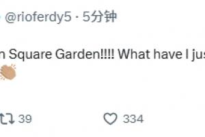 NBA总决赛G4尼克斯超级大逆转！费迪南德：我的天！我目睹了什么配图