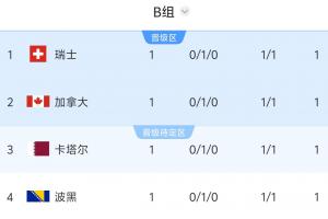 两场都是1-1！B组积分榜：瑞士、加拿大、卡塔尔、波黑同积1分配图