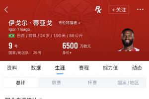 蜂王世界杯首秀！伊戈尔·蒂亚戈英超38场22球，但3月才巴西首秀配图