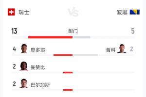 瑞士vs波黑全场数据：射门13-5 射正7-3 控球率62%-38%配图