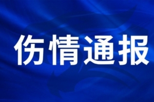 王毅右膝外侧副韧带损伤，陈哲超腓骨肌腱、外踝韧带损伤配图
